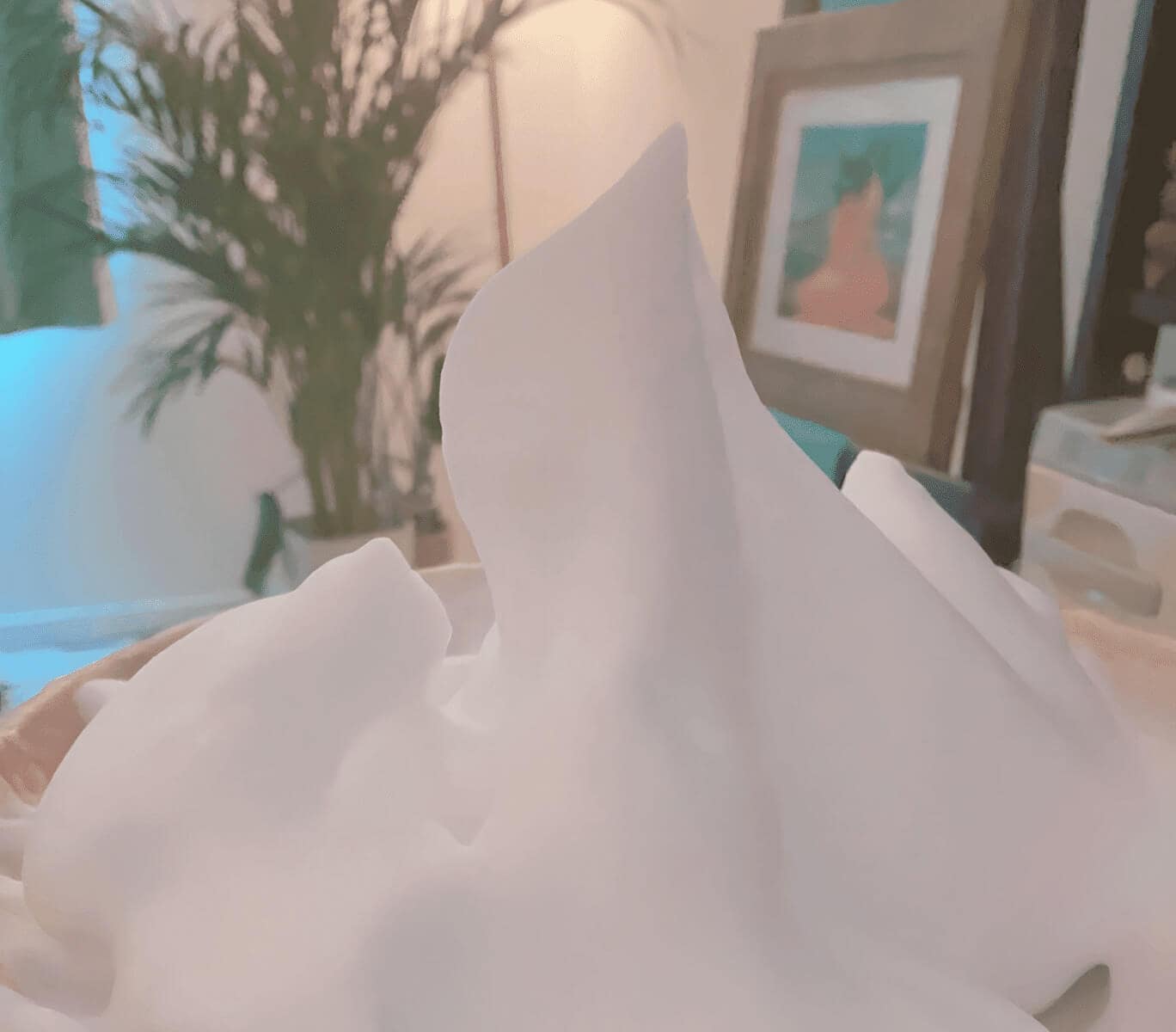 ラテスパ泡の写真